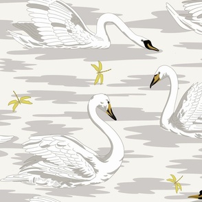 White Swans 6