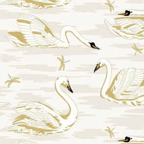 White Swans 7