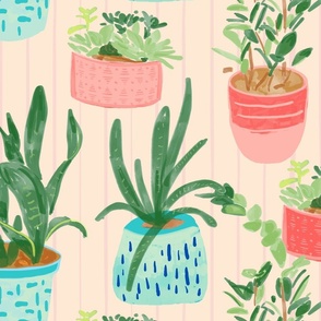 House Plants