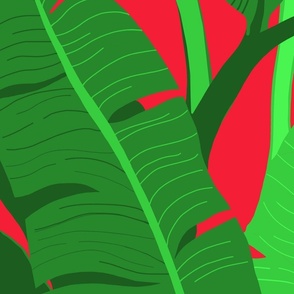 large-red and green leaves matching Giant Heliconia