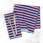 Red White and blue skinny stripe
