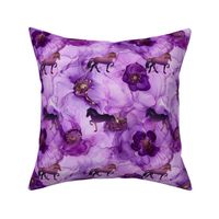 purple icelandic horse - Toelter Flowers 