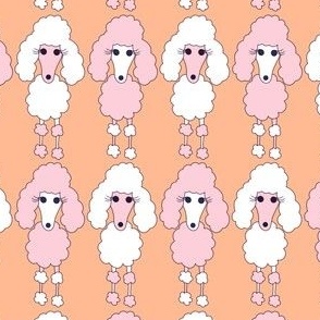 Peach Sorbet Poodle Parade 