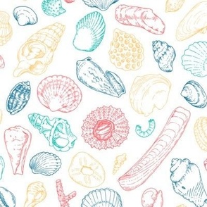 Seashells colorful line art