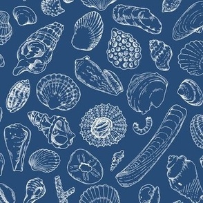 Seashells blue on white line art