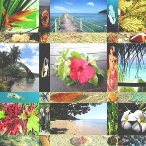 Fiji_Memory_Quilt