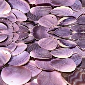 Wampum Shells - Large