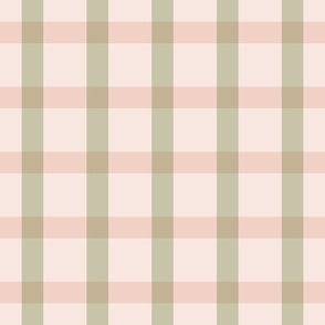 Baby Pink and Green Gingham