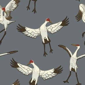 Birds That Dance-SP-10