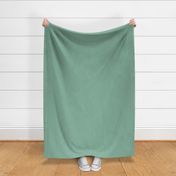 solid textured canvas aqua green