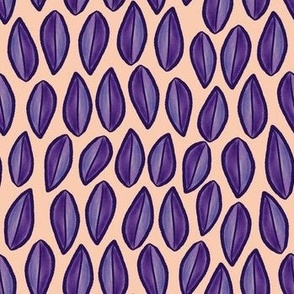Seeds in purple and peach