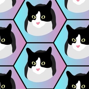 Tuxedo Cat on Blue and Pink Gradient Hexagon Grid - Large