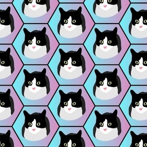 Tuxedo Cat on Blue and Pink Gradient Hexagon Grid - Small