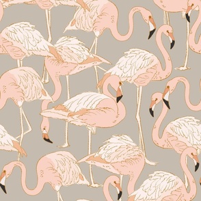 Coral Flamingos Soft Grey