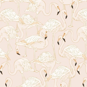 Soft Orange Flamingos