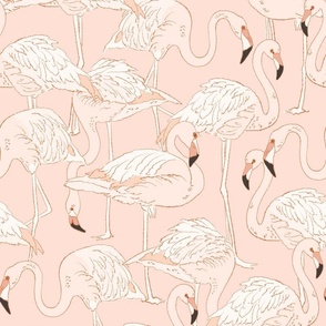 Soft Pink Flamingos