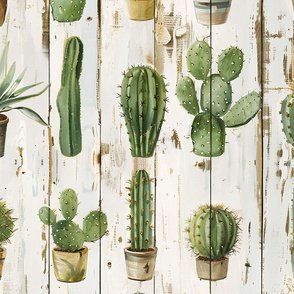 Desert Succulent Cactus in Pots on Weathered Barn Wood Rustic Western Potted Plants Botanical Boho Plants Gardener Wallpaper White Green Gold