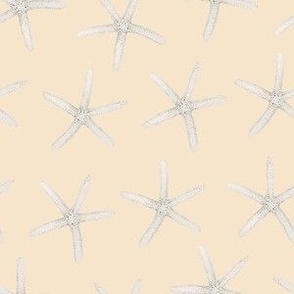 Hand Drawn Watercolor White Sea Stars on Cream, M