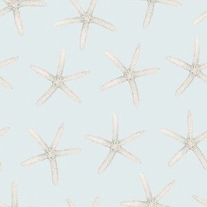 Hand Drawn Watercolor White Sea Stars on Light Baby Blue, M