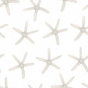 Hand Drawn Watercolor White Sea Stars on White, M