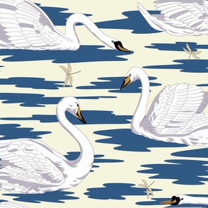 White Swans 8