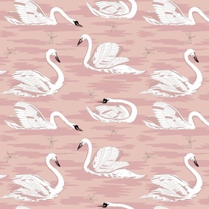 White Swans 9