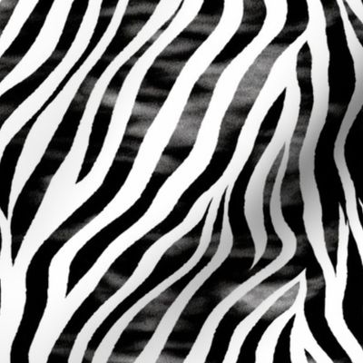 tiger stripe animal pattern