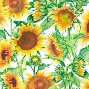 Bright Sunflower Collage (medium)