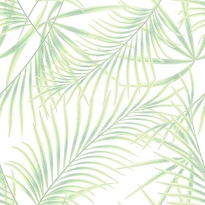 Tropical pattern. Gentle green palm leaves on a white background.