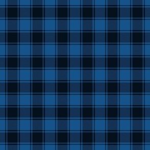 Blue and Faded Black Grunge  Small Checked Plaid