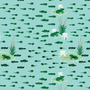 Small - Tadpoles Turning into Green Frogs in an Arctic Blue Pond