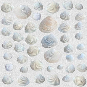 Sea Shells in Sand Rustic Natural Coastal Beach Sand and Seashells Earth Tones Photograph Subtle Modern Abstract Geometric