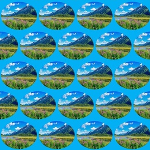 God's Country I Alaska Painting-MediumSkyBlueOval