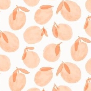 Tossed citrus in peach - small