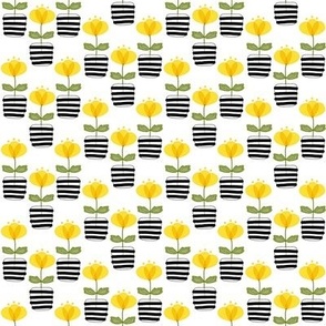 Extra Small Yellow Buttercup Flowers in Black and White Stripe Pots on White 