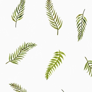 Layered watercolor green Ferns on white background