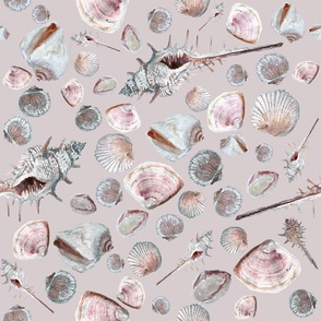 Large shells on pink / seashells