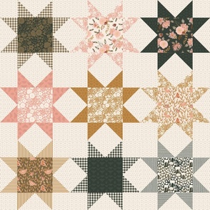 Gentle Nature Sawtooth Star Quilt