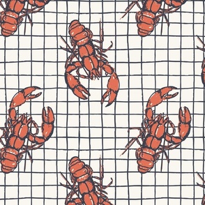 Lobster Grid_Medium_Flamingo Orange_Outerspace Blue