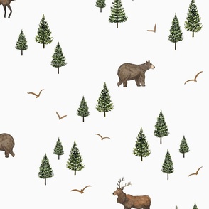 Watercolor Bear, Elk and Pine Trees in the Woods on white background