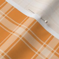 Hand drawn Windowpane Plaid - Tangerine, Medium Scale