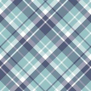 small plaid / blue