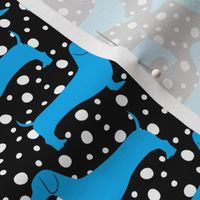 Polka Dachshunds (Black and Blue)