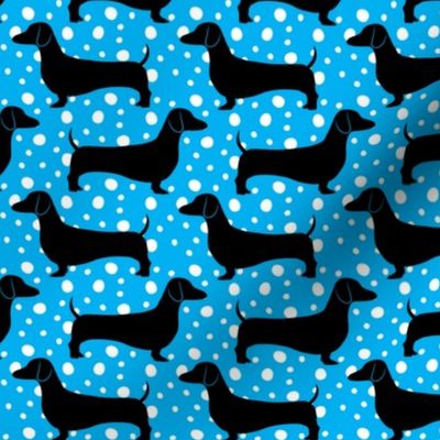 Polka Dachshunds (Blue and Black)