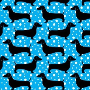 Polka Dachshunds (Blue and Black)