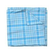 Bright snow - bright blue plaid