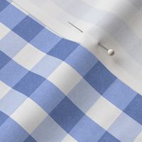 Gingham check in French blue - medium - 2.3”