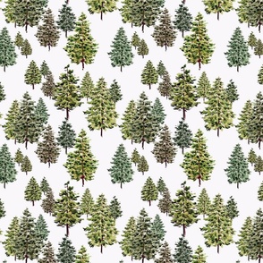Handpainted Watercolor Pine Trees Forest in Pearl White, and Green - Small Scale