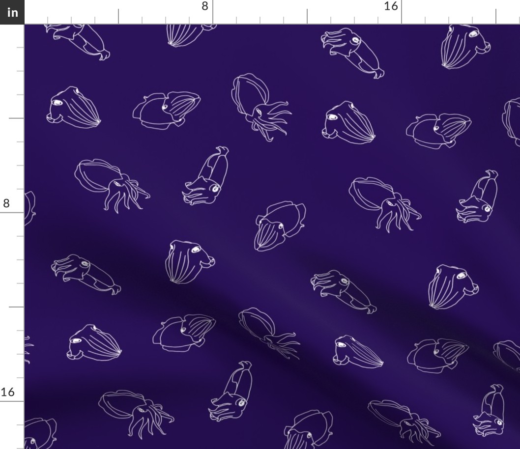 Cuttlefish swim - dark purple and white