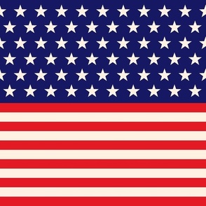 Flag Stars and Stripes